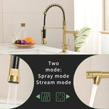 Commercial Kitchen Faucet with Pull Down Sprayer, Single Handle Single Lever Kitchen Sink Faucet W1932P155916