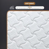 King Mattress, 10 Inch Plush Hybrid Mattresses with Memory Foam, Fiberglass-Free Mattress in a Box, B2716P318210