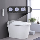 ZNTS Smart Toilet Bidet Combo with Self-Cleaning Nozzle, Heated Seat, Night Light, Knob Control, Power W1219P262872