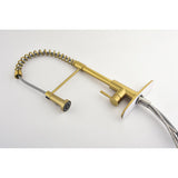 Pull down Single Handle Spring Kitchen Faucet W2287141942