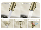 Kitchen Faucet with Pull Down Sprayer Brushed Gold T5879P505810