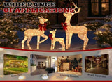 3-Piece Lighted Christmas Reindeer Set Outdoor Decorations, Weather Proof Sparkling Deer 40145997