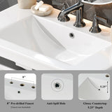 30" Bathroom Vanity with Ceramic Sink, Equipped with Adjustable Shelf and Tip-Out Tray, Bathroom N817P286250W