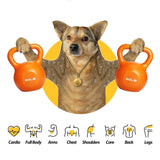 Kettlebell Sets, Strength Training Kettlebells Weight Set for Women, Vinyl Coated Kettle Bell for 43974329