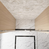 Frameless Single sliding shower door 56-60 "W x 76" H, 1/4 " Clear Tempered Glass, Explosion W1675P307004