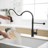 Kitchen Faucet with Pull Down Sprayer Black Stainless Steel Single Handle Pull Out Spring Sink W1932P224868