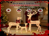 3-Piece Lighted Christmas Reindeer Set Outdoor Decorations, Weather Proof Sparkling Deer 40145997