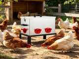 Automatic Chicken Feeder 08294586