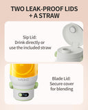 Portable Blender, Personal Blender for Smoothies & Shakes, Cordless, 33oz BPA-Free Vessel, Leakproof 12800625