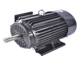 3 Phase 3 HP 1800RPM Electric Motor 230/460 Volt 182T 60HZ TEFC / IP55 Enclosure 53541899