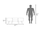TV Stand, 1 Door, 3 Shelves, 4 Legs, Black B097P350288