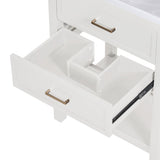 24'' Vanity with Top Sink, Modern Storage Cabinet with 2 Drawers, Single Sink N710P182935K