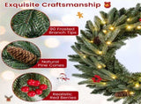 24" Pre-Lit Christmas Wreath - 20 Warm White LEDsPine ConesRed Berries 83366207