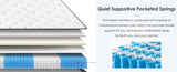 Queen Size Mattress,12 Inch Hybrid Mattress, Individually Pocketed Innerspring, Medium FirmQueen W2889P310461