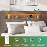 Bed Frame King Size, Wood Platform Bed Frame with Storage LED Light Headboard and 2 USB , Noise 95278279