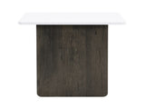 VIBE HAUS Modern Light Luxury Coffee Table Set of 2, Small Square Coffee End Table with Spacious N724P321447K