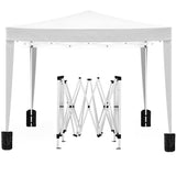 ZNTS 10'x10' Folding Canopy with 4 Removable Sidewalls Outdoor Event Shelter UPF 50+ Gazebo Portable W2185P194727