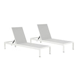 ZNTS Outdoor Chaise Lounge Chair Set of 2, Aluminum Adjustable Outside Chair for Pool Patio Beach Yard, N779P248447W