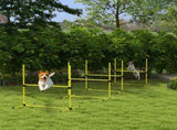 Dog agility training equipment 17200588