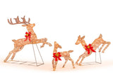 3 Pieces Lighted Christmas Reindeer Christmas decoration 09178562