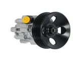 Steering Pump w/ Pulley fit for Chevy Equinox GMC Terrain V6 3.0L 3.6L 10-17 21-4072 21237259
