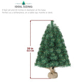 ZNTS 20 in Pre-lit Artificial Mini Christmas Tree, Tabletop Small Xmas Pine Tree with Ornaments and 30 49671594