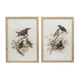 S/2 Bird Framed Print, 19.5x27.5" W2078P205301