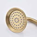 Single-Handle 4-Spray Patterns Bathroom Rain Shower Faucet with Body Jet Handshower in Brushed Gold W1219133589