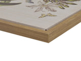 4-piece Botanical Illustration Framed Canvas Wall Art Set B03599414