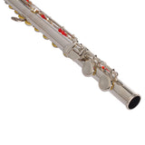 ZNTS Nickel Plated C Closed Hole Concert Band Flute with E Key 00240637