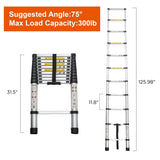 Telescoping Ladder 10.5FT, Telescopic Extension Ladder, Aluminum Alloy Folding Ladder Portable W2660P255607