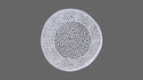 T3502-32 Round Coffee Table in White B009140729