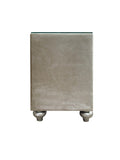 Lucienne Beige Velvet Nightstand B2726P294448
