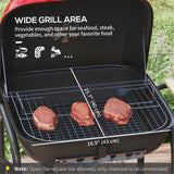 ZNTS Portable Charcoal Grill /BBQ Grill （Prohibited by WalMart） 71411362