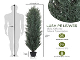 6FT detachable Artificial green pine and cypress tall simulation plant for indoor and outdoor W2945P322224