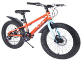 20 Inch Kids Bicycles , Fat Tire Mountain Bike for Boys and Girls Age 5 Years ,7-Speed Dual-Disc W1019P203873