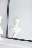 24" x 36" Classic Design Mirror with and Baroque Inspired Frame for Bathroom, Entryway Console Lean W2078123591