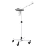 Facial Steamer Esthetician Steamer Timing Professional Aromatherapy Humidifier Face Spa Mist Steam 88949147