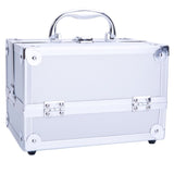 ZNTS SM-2176 Aluminum Makeup Train Case Jewelry Box Cosmetic Organizer with Mirror 9"x6"x6" Silver 05418459