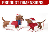 Set of 2 Lighted Dachshund Dog Christmas Decorations, Pre-lit Holiday Decor with 115 Warm White LED 87696606
