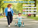 Toddler Tricycle for 3-5 Years - Stable Triangular Structure, Front & Rear Storage Baskets 08145057