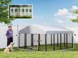 Dog Kennel Outdoor 20976984