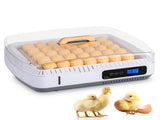 US 35 Egg Incubator with Automatic Egg Turning, Temperature and humidity 47236959