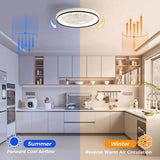 19 Inch RGB Dimmable Led Enclosed Ceiling Fan with Light Flush Mount Bladeless 6 Speed Remote W934P262275