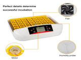 42-Egg Practical Fully Automatic Poultry Incubator with Egg Candler US Standard 08717076