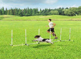 Dog Outdoor Exercise Training Set 57709214