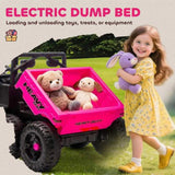 Truck Electric Car 48203045