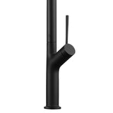 DAX Single Handle Pull Out Kitchen Faucet - Matt Black Finish B2702P227003