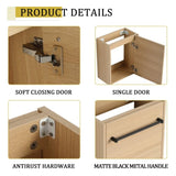 16'' Floating Wall-Mounted Vanity with Ceramic Sink & Soft-Close Cabinet Door, For Small W999P236336