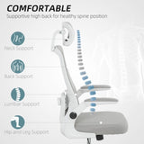 Office Chair/Massage Office Chair 28833932